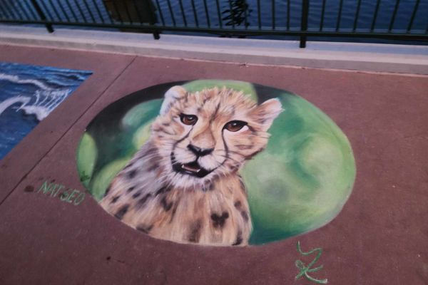 sidewalk chalk art