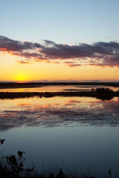 Reflection of clouds brightens the tranquil marsh at dusk.