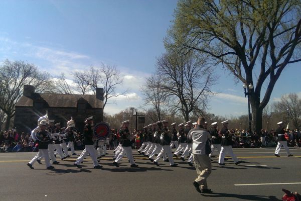 cherry blossom parade