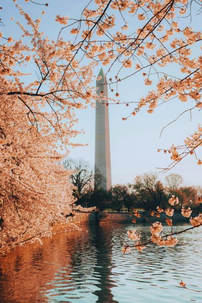 tidal basin