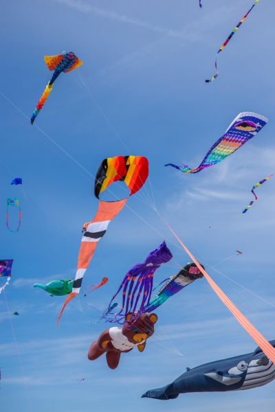 Kite festival