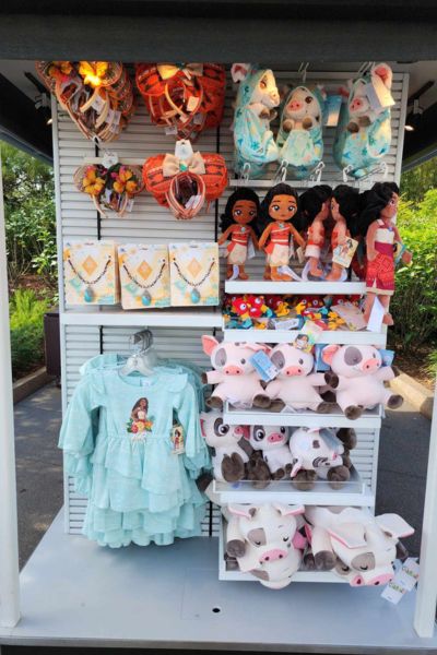 moana merch at Journey of Water