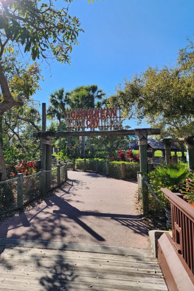 Caribbean Beach Walking Paths