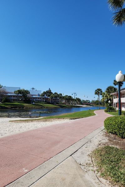 Approaching a cozy spot lined with lush greenery and lighting posts.