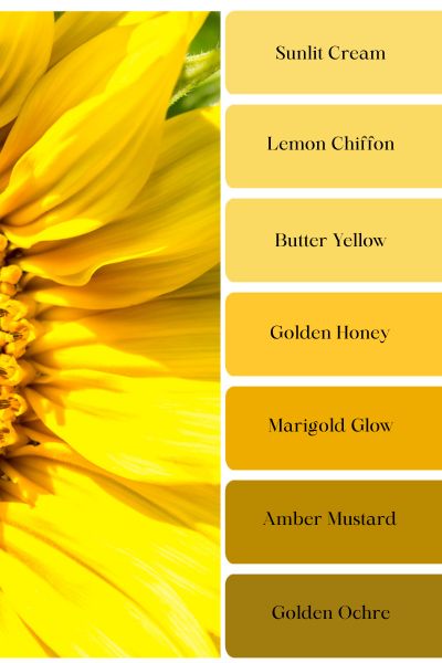 These golden shades capture the sunshine in every petal. Perfect for adding warmth anywhere.