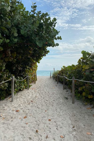 A sandy path lined with green bushes leads to a calm ocean under a blue sky.